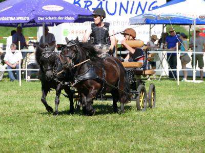 Foto des Albums: Fahrturnier Hilders 2019