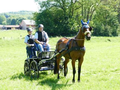Foto des Albums: Fahrturnier Hilders 2019