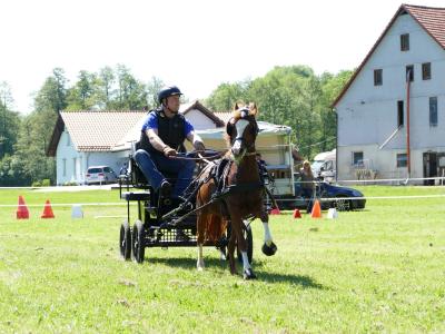 Foto des Albums: Fahrturnier Hilders 2019