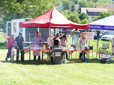 Foto des Albums: Fahrturnier Hilders 2019