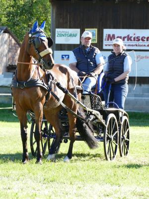 Foto des Albums: Fahrturnier Hilders 2019