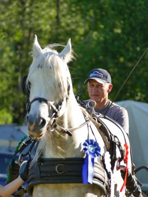 Foto des Albums: Fahrturnier Hilders 2019