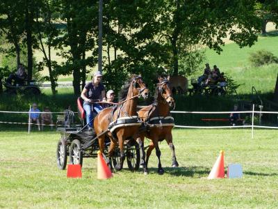 Foto des Albums: Fahrturnier Hilders 2019