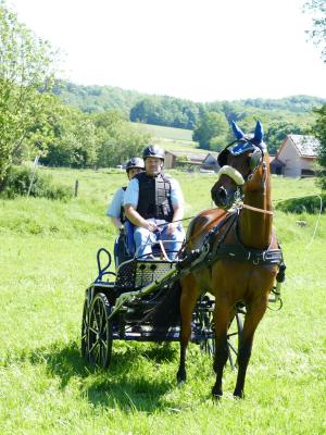 Foto des Albums: Fahrturnier Hilders 2019