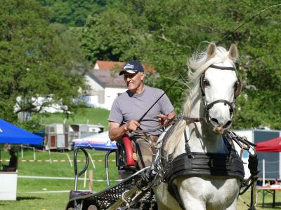 Foto des Albums: Fahrturnier Hilders 2019