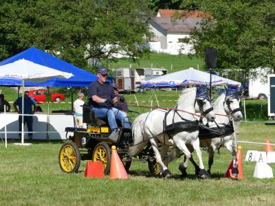 Foto des Albums: Fahrturnier Hilders 2019