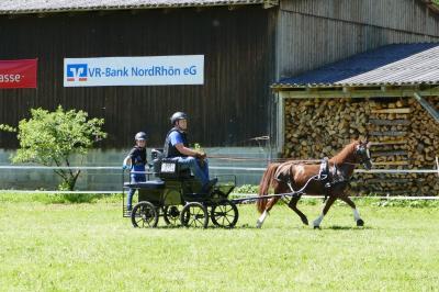 Foto des Albums: Fahrturnier Hilders 2019