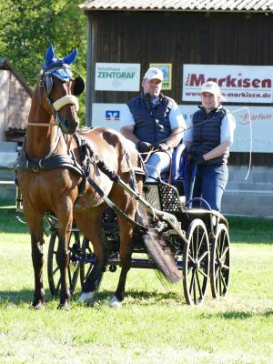 Foto des Albums: Fahrturnier Hilders 2019
