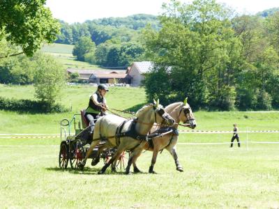 Foto des Albums: Fahrturnier Hilders 2019