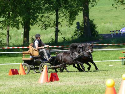Foto des Albums: Fahrturnier Hilders 2019