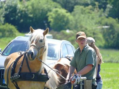 Foto des Albums: Fahrturnier Hilders 2019