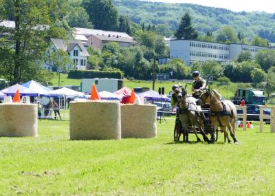 Foto des Albums: Fahrturnier Hilders 2019