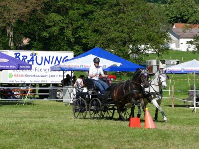 Foto des Albums: Fahrturnier Hilders 2019