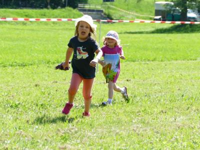 Foto des Albums: Fahrturnier Hilders 2019