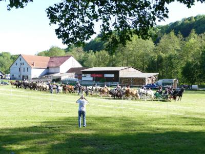 Foto des Albums: Fahrturnier Hilders 2019