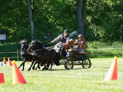 Foto des Albums: Fahrturnier Hilders 2019