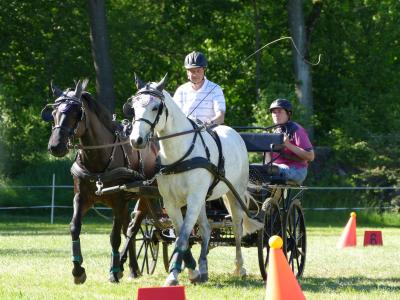 Foto des Albums: Fahrturnier Hilders 2019