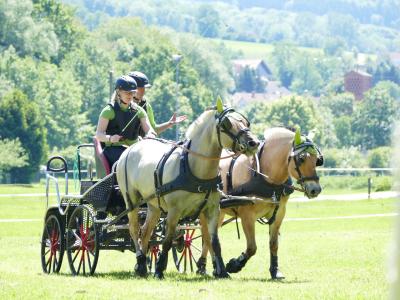 Foto des Albums: Fahrturnier Hilders 2019
