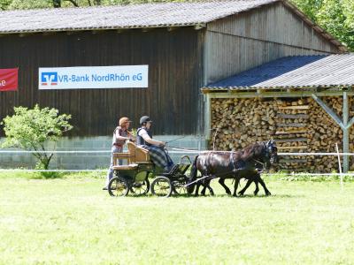 Foto des Albums: Fahrturnier Hilders 2019