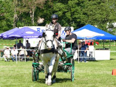 Foto des Albums: Fahrturnier Hilders 2019