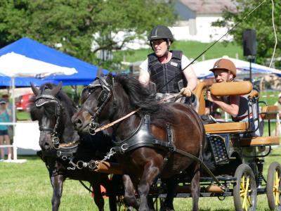 Foto des Albums: Fahrturnier Hilders 2019