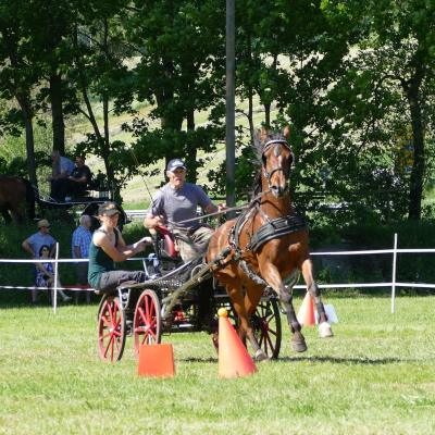 Foto des Albums: Fahrturnier Hilders 2019