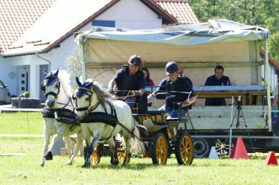 Foto des Albums: Fahrturnier Hilders 2019