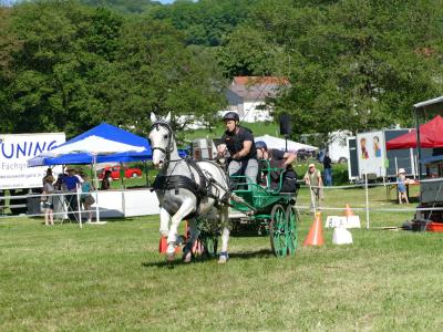 Foto des Albums: Fahrturnier Hilders 2019