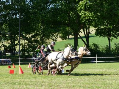 Foto des Albums: Fahrturnier Hilders 2019