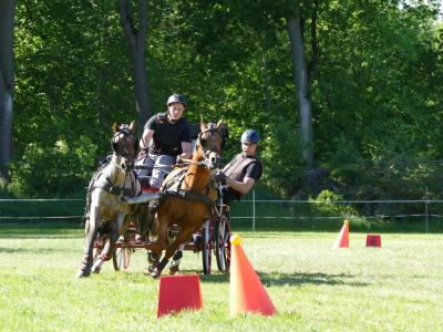 Foto des Albums: Fahrturnier Hilders 2019