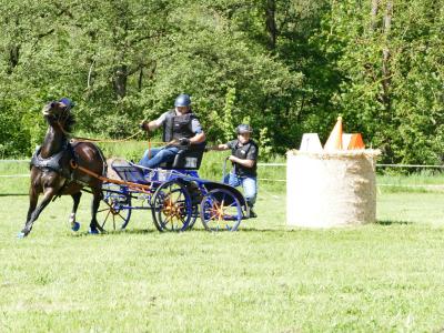 Foto des Albums: Fahrturnier Hilders 2019