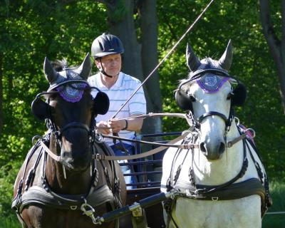 Foto des Albums: Fahrturnier Hilders 2019