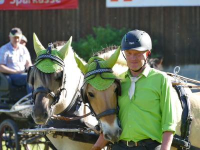 Foto des Albums: Fahrturnier Hilders 2019