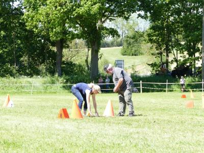 Foto des Albums: Fahrturnier Hilders 2019