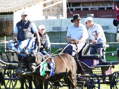 Foto des Albums: Fahrturnier Hilders 2019