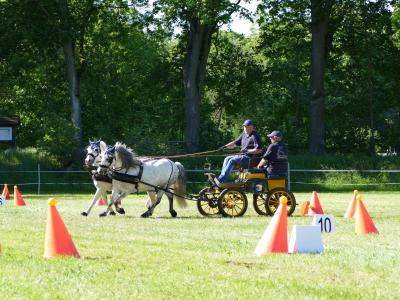 Foto des Albums: Fahrturnier Hilders 2019