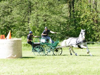 Foto des Albums: Fahrturnier Hilders 2019