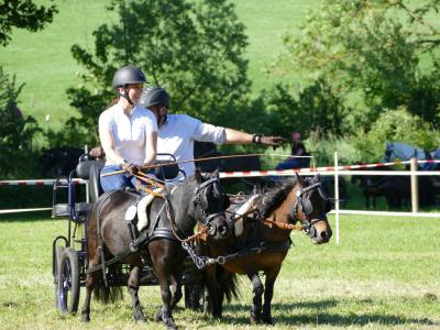 Foto des Albums: Fahrturnier Hilders 2019