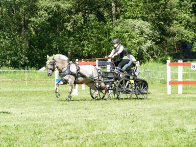 Foto des Albums: Fahrturnier Hilders 2019