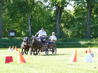 Foto des Albums: Fahrturnier Hilders 2019