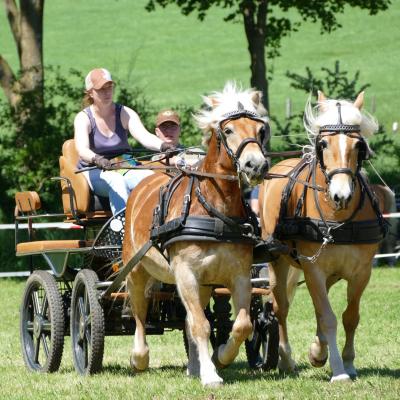 Foto des Albums: Fahrturnier Hilders 2019