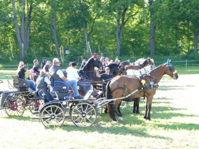 Foto des Albums: Fahrturnier Hilders 2019
