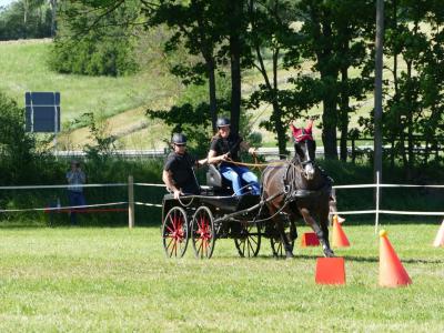Foto des Albums: Fahrturnier Hilders 2019