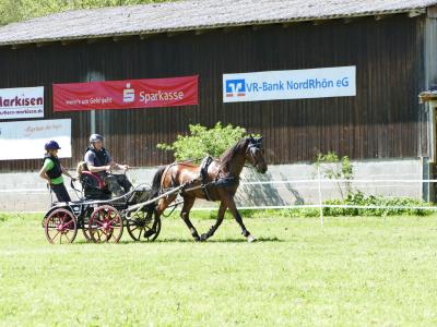 Foto des Albums: Fahrturnier Hilders 2019