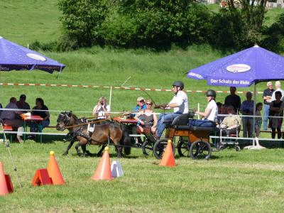 Foto des Albums: Fahrturnier Hilders 2019