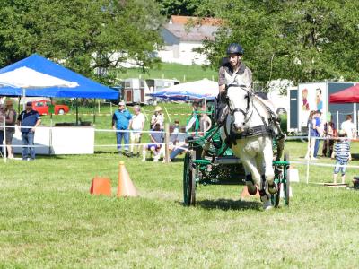Foto des Albums: Fahrturnier Hilders 2019