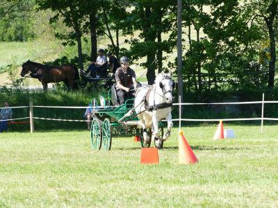 Foto des Albums: Fahrturnier Hilders 2019