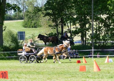 Foto des Albums: Fahrturnier Hilders 2019