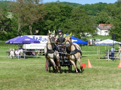 Foto des Albums: Fahrturnier Hilders 2019