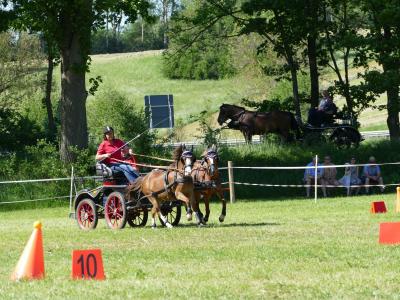 Foto des Albums: Fahrturnier Hilders 2019